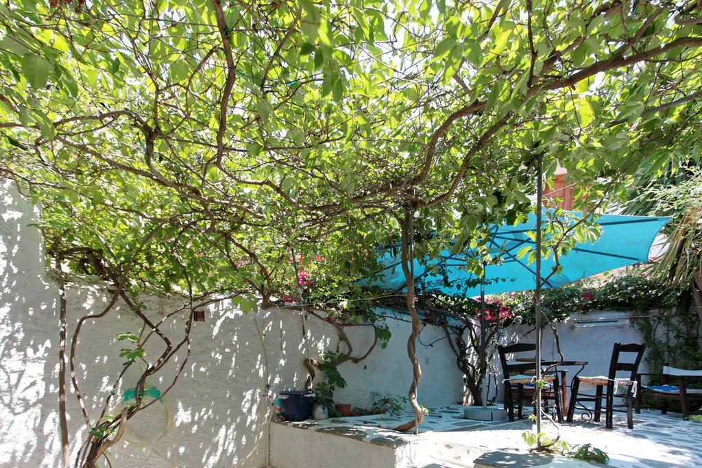 To Spitaki Apartments Galaxídhion Eksteriør billede